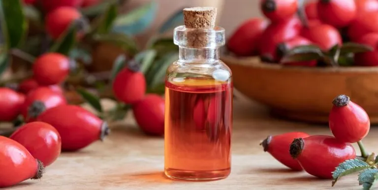 Benefits of Rosehip Seed Oil on Skin